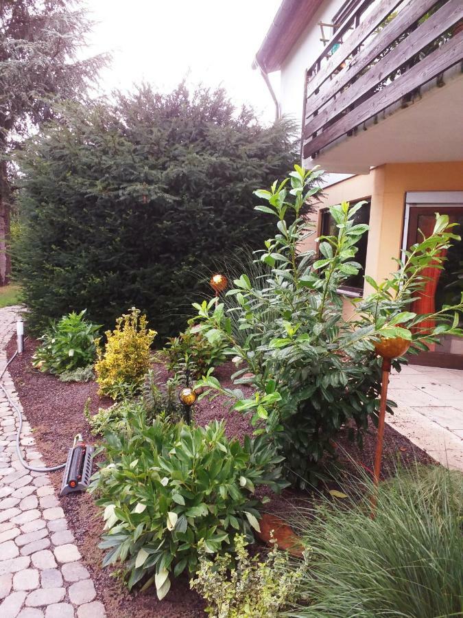 Ferienwohnung Im Rottal Oberrot Exterior foto
